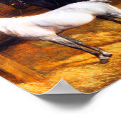 Ein graues Pony und ein schwarzes Pferd im Stable Poster (Ecke)