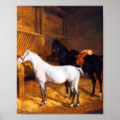 Ein graues Pony und ein schwarzes Pferd im Stable Poster (Vorne)