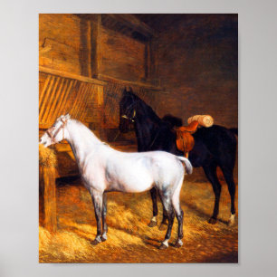 Ein graues Pony und ein schwarzes Pferd in einem S Poster