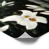 Ein Gravieren des Bogenschützen von 1903 Poster (Ecke)