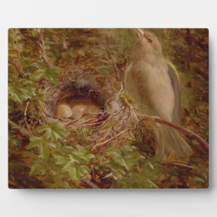 Ein Greenfinch an seinem Nest, 1877 (Öl auf Tafel) Fotoplatte
