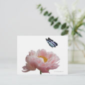 ein großer rosa Paillon wird von einem ätherischen Postkarte (Stehend Vorderseite)