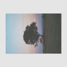 Ein großer Solitärbaum, der eine Scheune schützt Seidenpapier