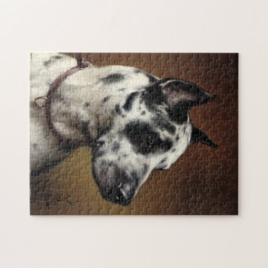 Ein großes Ding | Carl Reichert Puzzle (Horizontal)