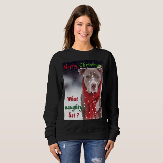 Ein Grubenbull oder Staffordshire Bull Terrier Dog Sweatshirt (Vorne ganz)