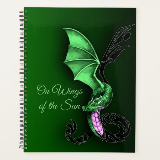 Ein grüner Drache Planer (Vorderseite)