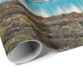 Ein grüner Farn Pflanze Hintergrund mit Schatten.  Geschenkpapier (Rolleneckpunkt)