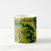 Ein grüner Farn Pflanze Hintergrund mit Schatten. Kaffeetasse (Mittel)