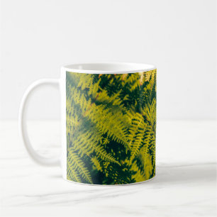 Ein grüner Farn Pflanze Hintergrund mit Schatten. Kaffeetasse