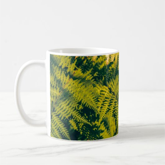 Ein grüner Farn Pflanze Hintergrund mit Schatten. Kaffeetasse (Links)