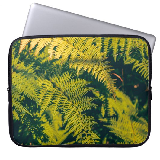 Ein grüner Farn Pflanze Hintergrund mit Schatten. Laptopschutzhülle (Vorderseite)