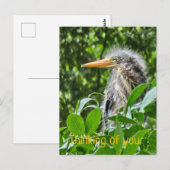 Ein grüner Held. Denken Sie an Sie Postkarte (Vorne/Hinten)