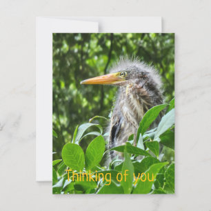 Ein grüner Held. Denken Sie an Sie Postkarte