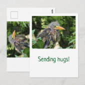 Ein grüner Held Postkarte (Vorne/Hinten)