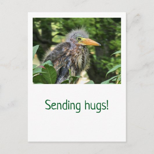 Ein grüner Held Postkarte (Vorderseite)