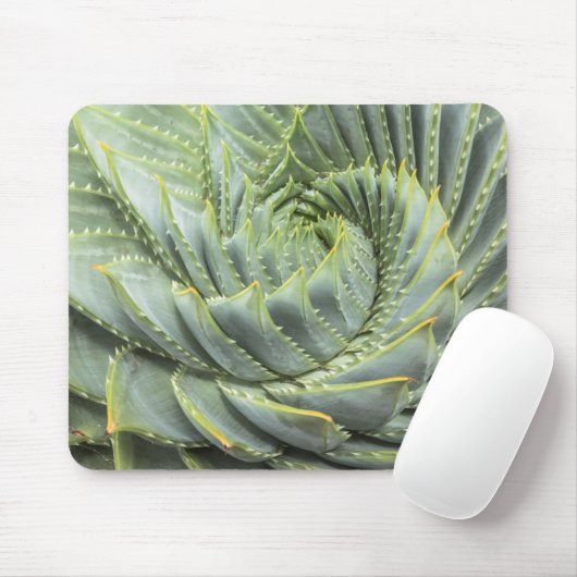 Ein grüner u. weißer Succulent Mousepad (Mit Mouse)