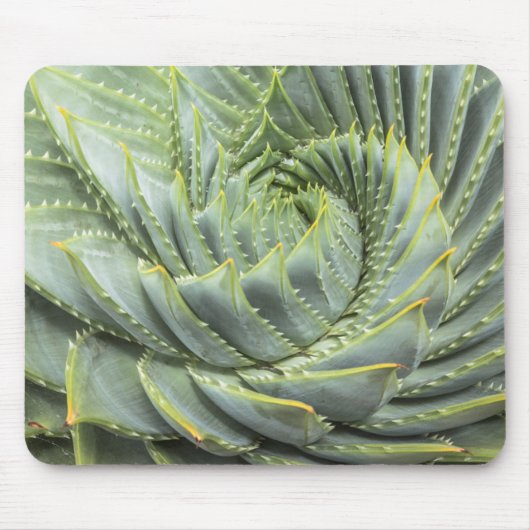 Ein grüner u. weißer Succulent Mousepad (Vorne)