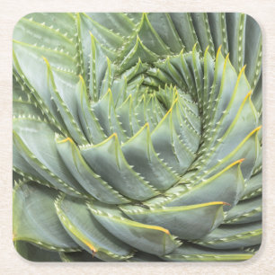 Ein grüner u. weißer Succulent Rechteckiger Pappuntersetzer