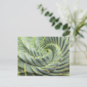 Ein grünes und weißes Sukkulat Postkarte (Stehend Vorderseite)