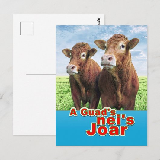 Ein Gruß neis Joar! Postkarte (Vorne/Hinten)