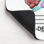 Ein gut definiertes Gehirn (anatomischer Mousepad (Ecke)