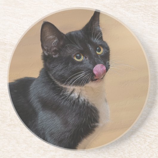 Ein guter Lick painterly Getränkeuntersetzer (Vorne)