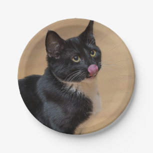 Ein guter Lick painterly Pappteller