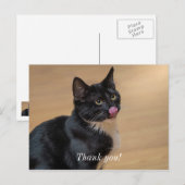 Ein guter Lick painterly Postkarte (Vorne/Hinten)