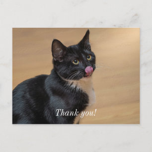 Ein guter Lick painterly Postkarte