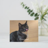 Ein guter Lick painterly Postkarte (Stehend Vorderseite)