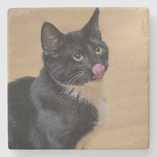 Ein guter Lick painterly Steinuntersetzer (Vorderseite)