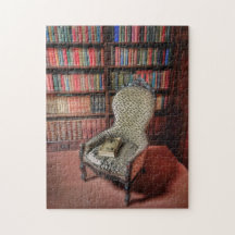 Ein gutes Buch und ein bequemer Sessel
