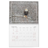 Ein gutes Jahr für den Adlerkalender Kalender (Feb 2026)