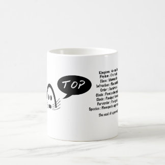 ein Gütesiegel, Pinnepedia- Billigung.  Kaffeetasse