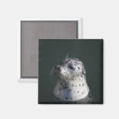 Ein Hafen-Siegel Magnet (Vorderseite/Rückseite)