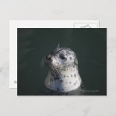 Ein Hafen-Siegel Postkarte (Vorne/Hinten)