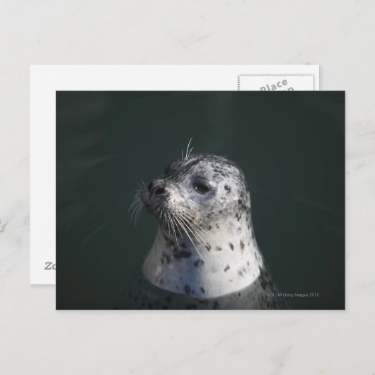 Ein Hafen-Siegel Postkarte (Vorne/Hinten)