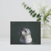 Ein Hafen-Siegel Postkarte (Stehend Vorderseite)