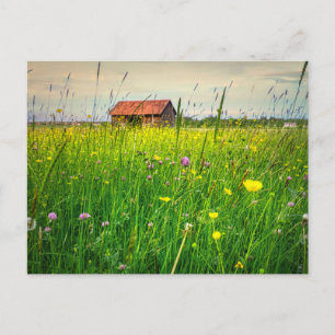 Ein Halcyon-Stall, gequetscht in einer Wildblume W Postkarte