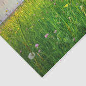 Ein Halcyon-Stall, gequetscht in einer Wildblume W Seidenpapier (Ausschnitt)