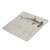 Ein Hammer-köpfiger Haifisch, Loheia, früher Fliese (Seite)