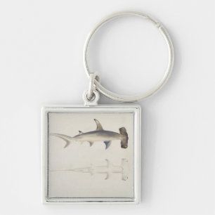 Ein Hammer-köpfiger Haifisch, Loheia, früher Schlüsselanhänger