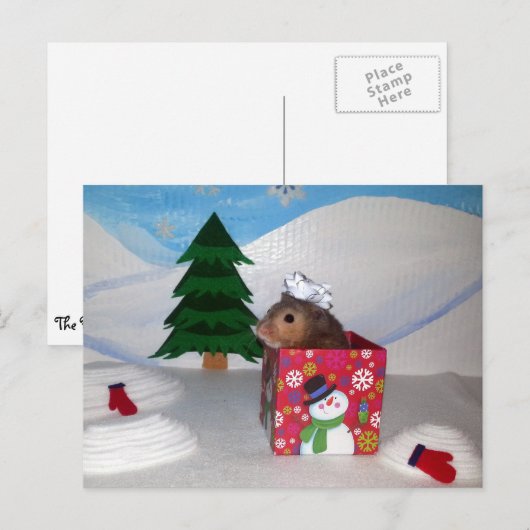 Ein Hamstery-Geschenk! Postkarte (Vorne/Hinten)