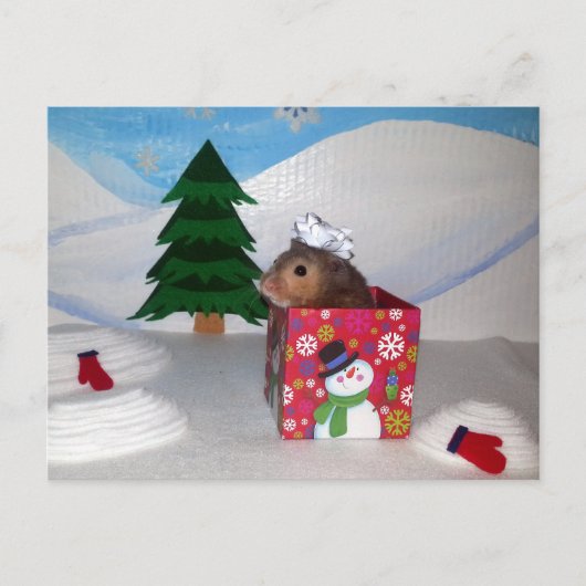 Ein Hamstery-Geschenk! Postkarte (Vorderseite)
