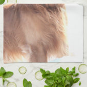 Ein Handtuch für Hunde (Gefaltet)