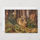 Ein Hase im Wald | Hans Hoffmann (Vorderseite)