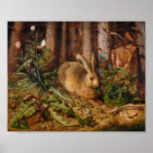 Ein Hase im Wald | Hans Hoffmann Poster (Vorne)
