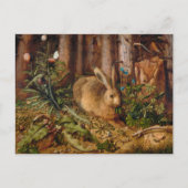 Ein Hase im Wald | Hans Hoffmann Postkarte (Vorderseite)