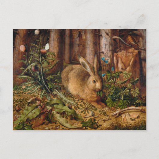 Ein Hase im Wald | Hans Hoffmann Postkarte (Vorderseite)