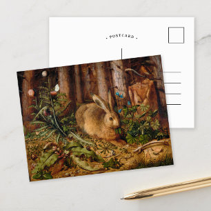 Ein Hase im Wald   Hans Hoffmann Postkarte